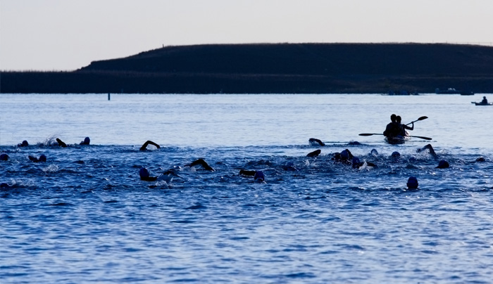 Photo of the Elbphilharmonie, the piers and cruise ship